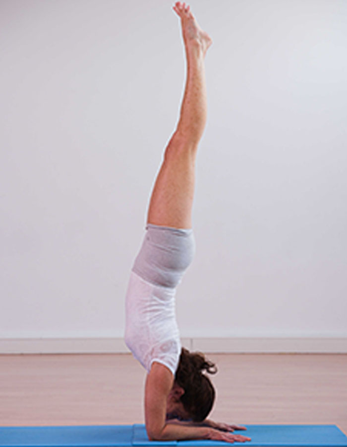 Asociación Argentina de Yoga Iyengar